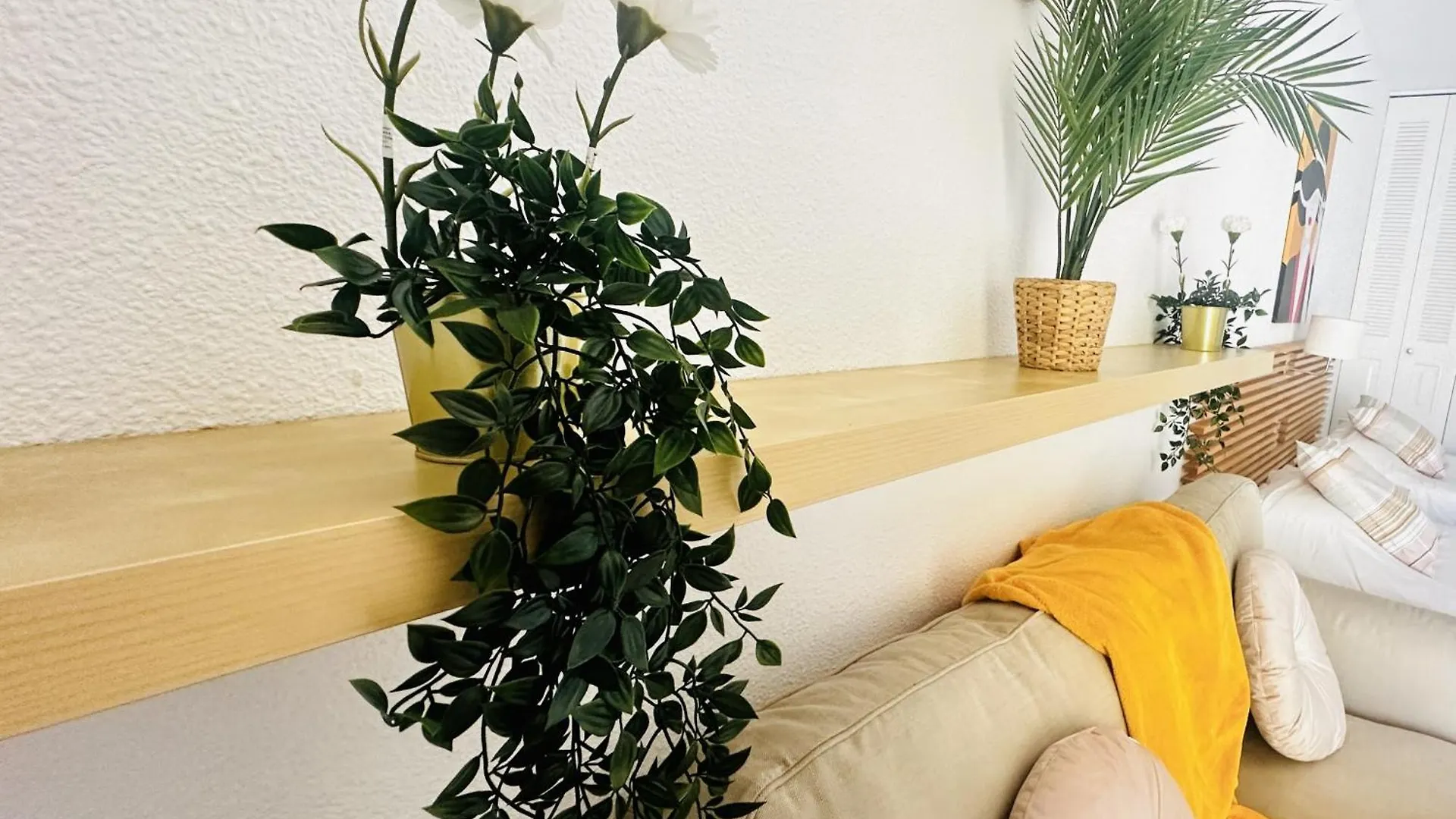 Sunny View Los Cristianos 0*, لوس كريستيانوس إسبانيا
